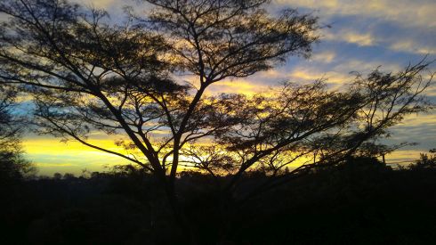 morning sunrise